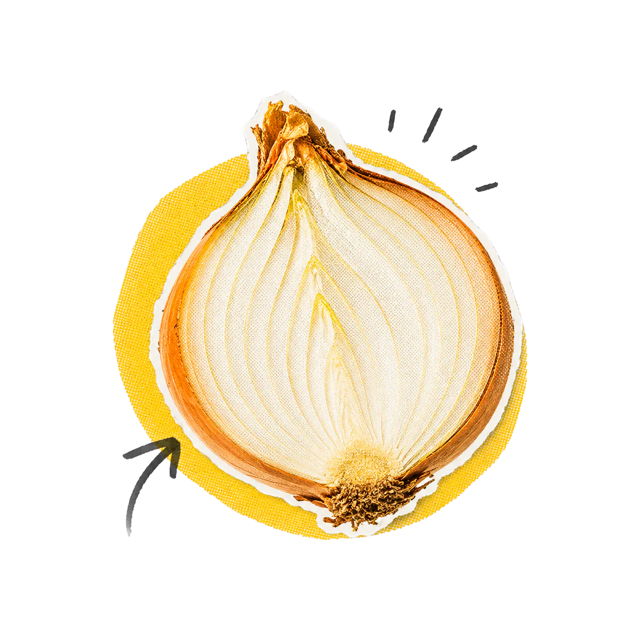 Panel de Onion con ventas, stock, compras, gastos y reportes.